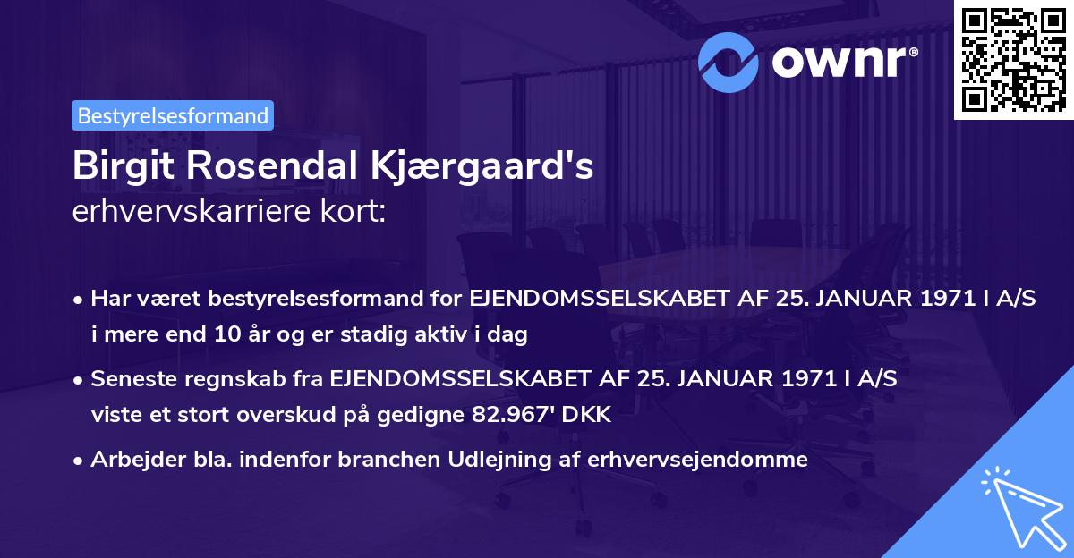 Birgit Rosendal Kjærgaard's erhvervskarriere kort