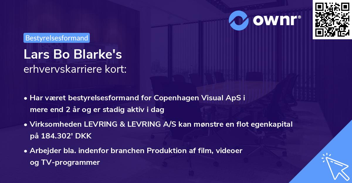 Lars Bo Blarke's erhvervskarriere kort