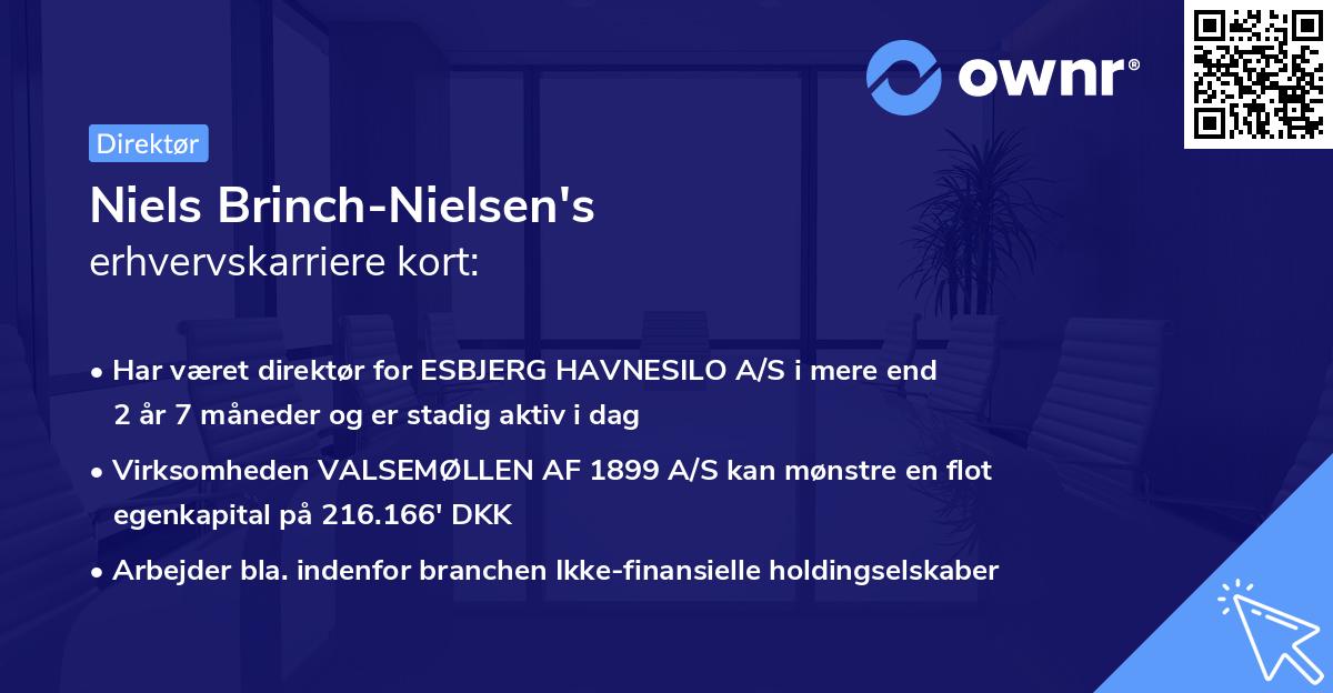 Niels Brinch-Nielsen's erhvervskarriere kort