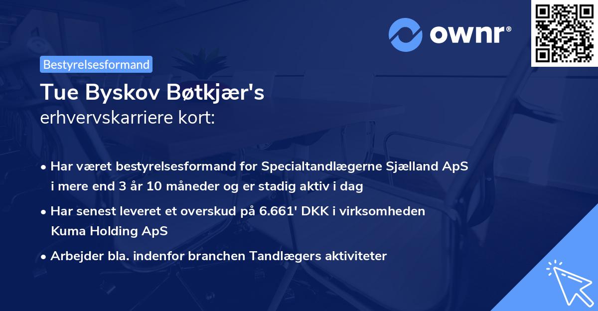 Tue Byskov Bøtkjær's erhvervskarriere kort