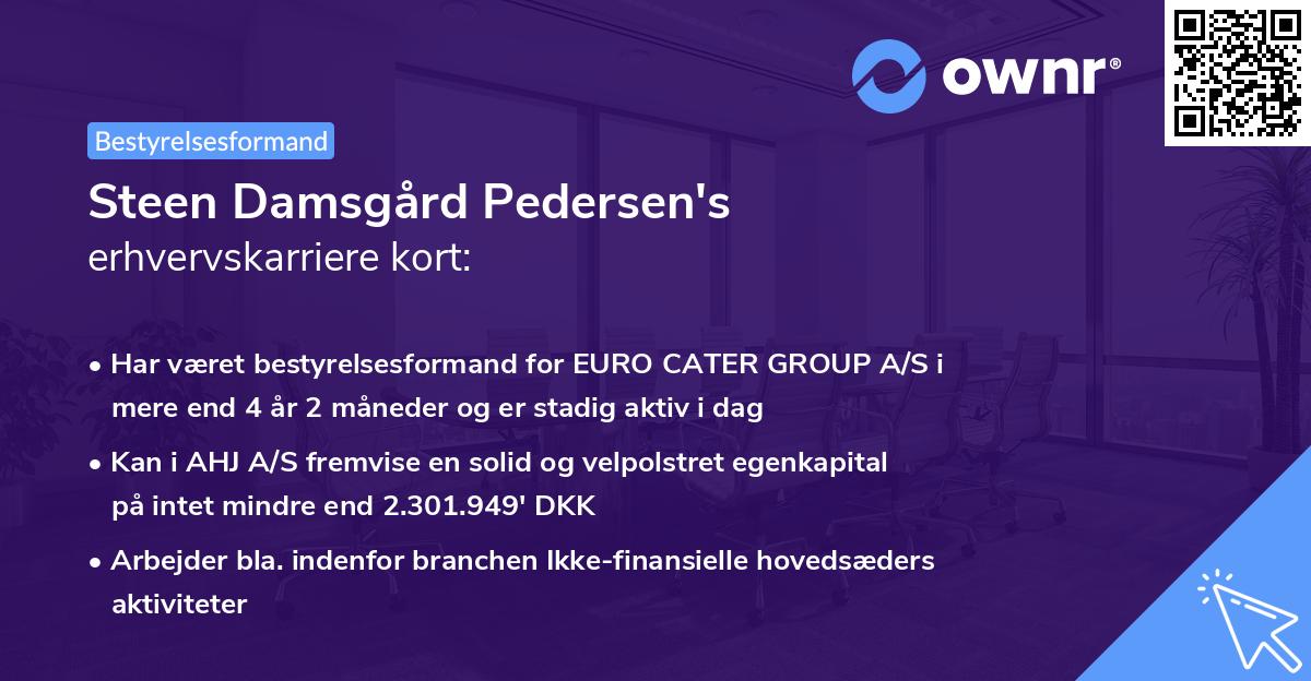 Steen Damsgård Pedersen's erhvervskarriere kort