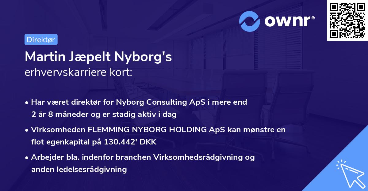 Martin Jæpelt Nyborg's erhvervskarriere kort