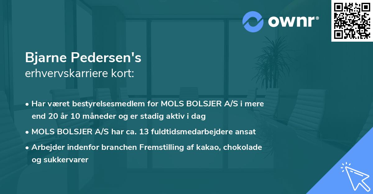 Bjarne Pedersen's erhvervskarriere kort