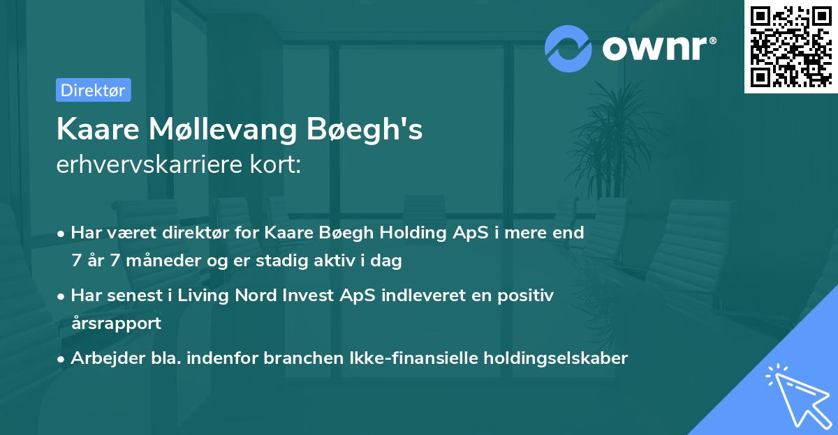 Kaare Møllevang Bøegh's erhvervskarriere kort