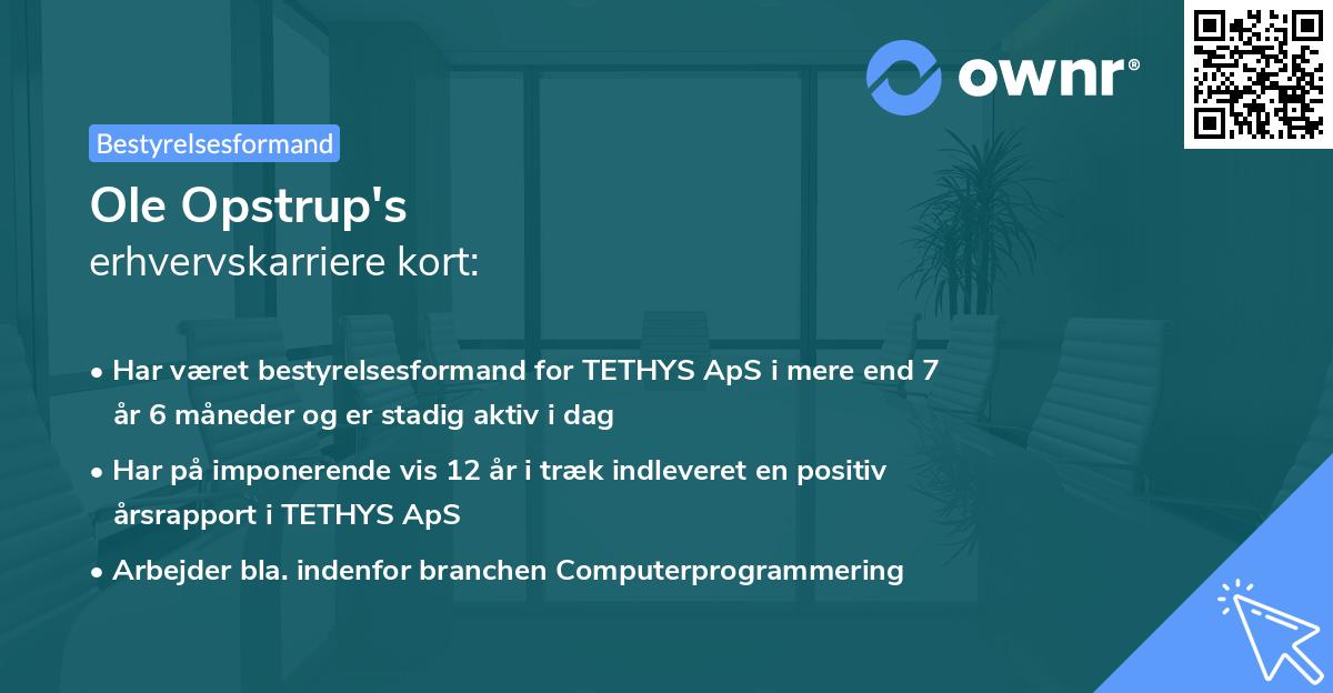 Ole Opstrup's erhvervskarriere kort