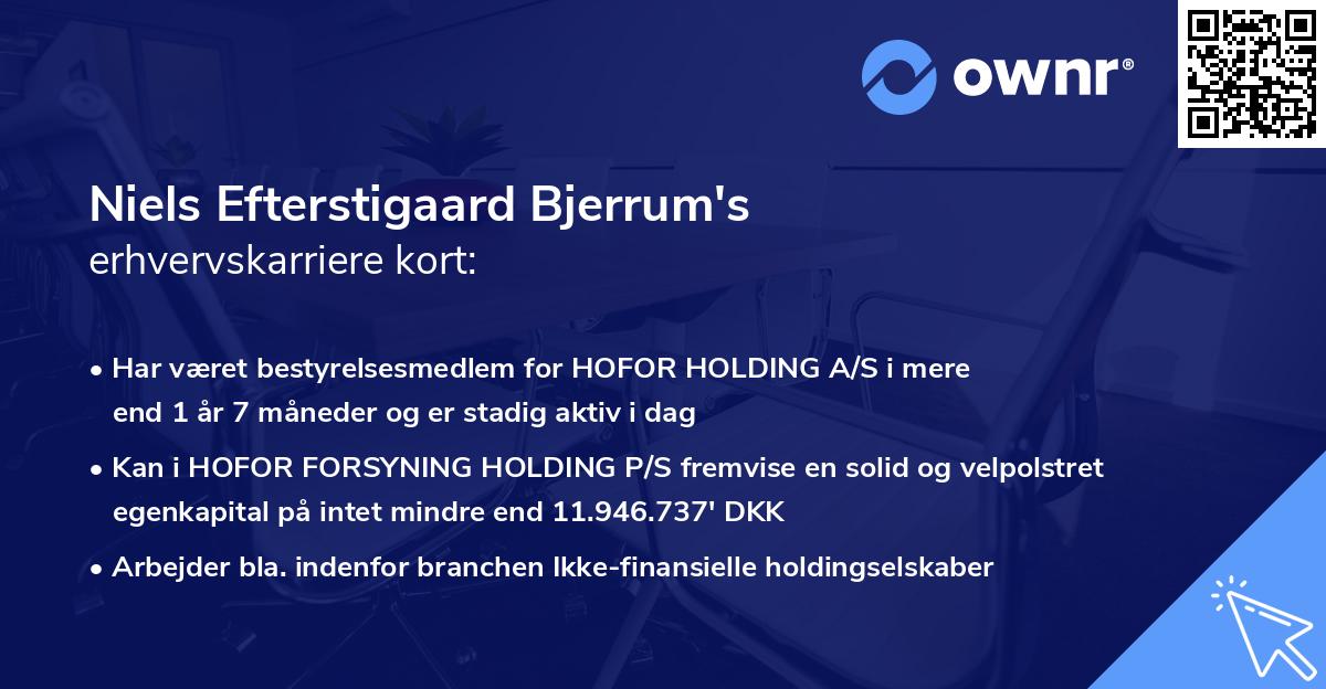 Niels Efterstigaard Bjerrum's erhvervskarriere kort