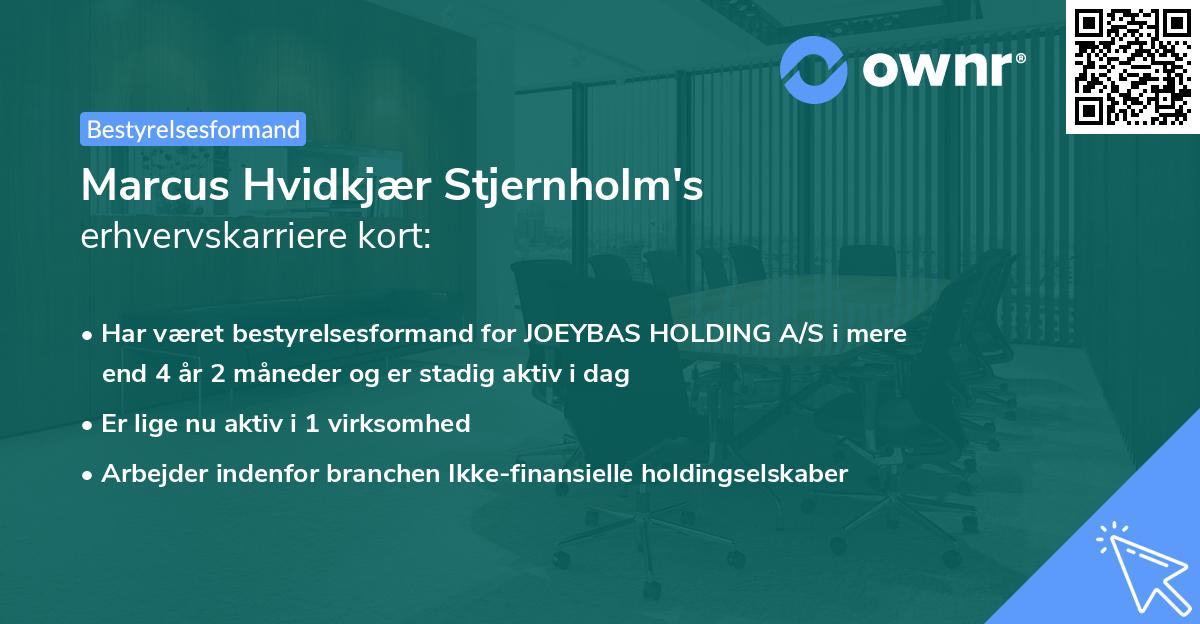 Marcus Hvidkjær Stjernholm's erhvervskarriere kort