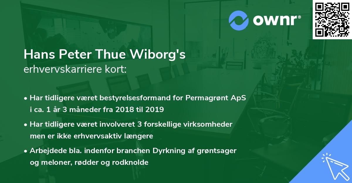 Hans Peter Thue Wiborg's erhvervskarriere kort