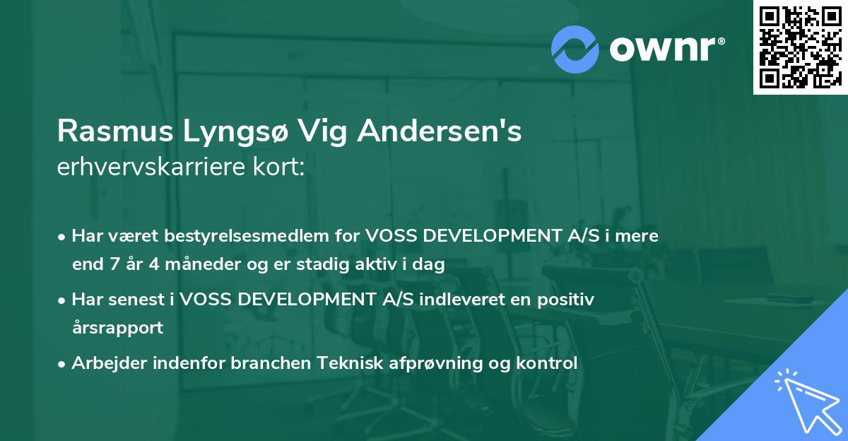 Rasmus Lyngsø Vig Andersen's erhvervskarriere kort