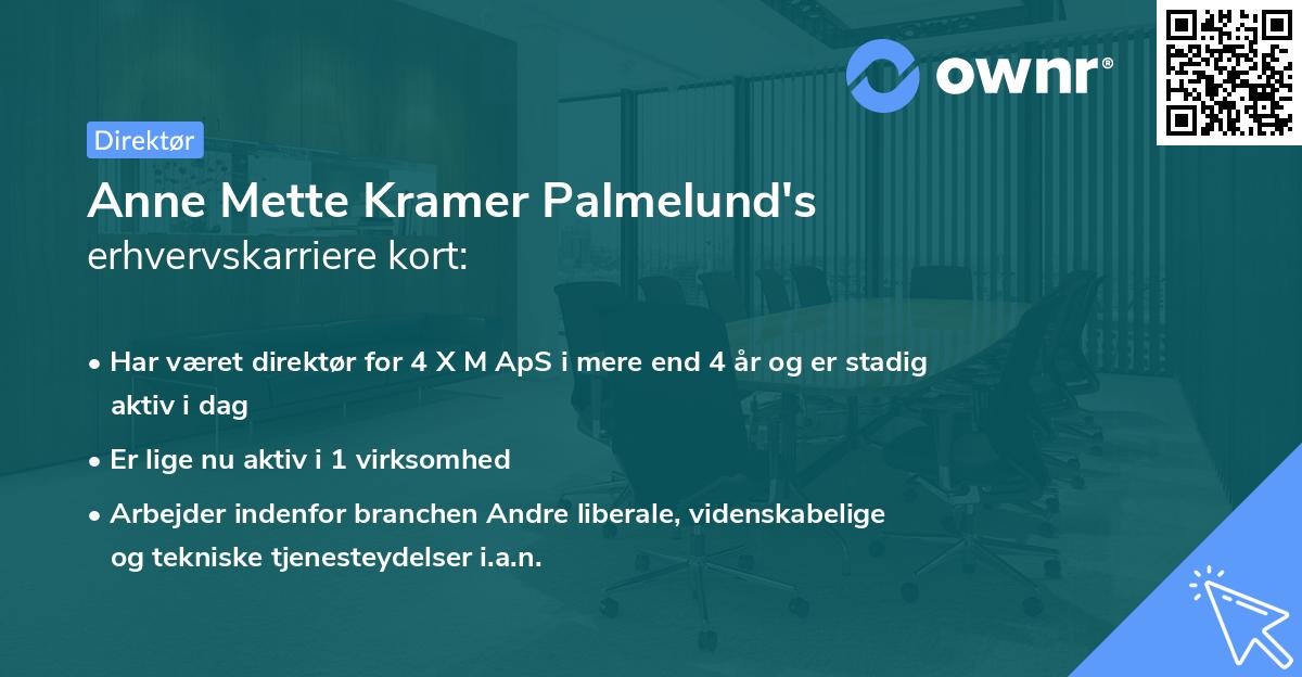 Anne Mette Kramer Palmelund's erhvervskarriere kort