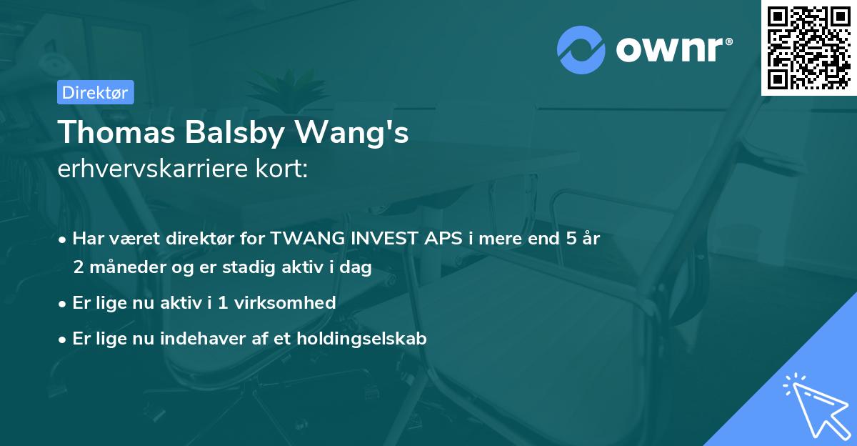 Thomas Balsby Wang's erhvervskarriere kort