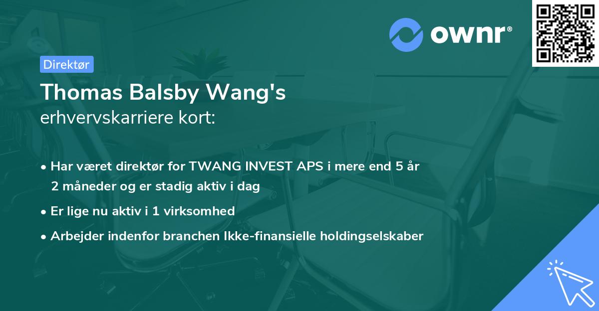 Thomas Balsby Wang's erhvervskarriere kort