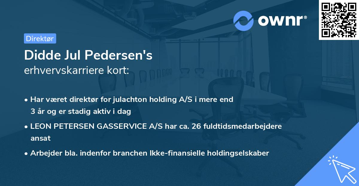 Didde Jul Pedersen's erhvervskarriere kort