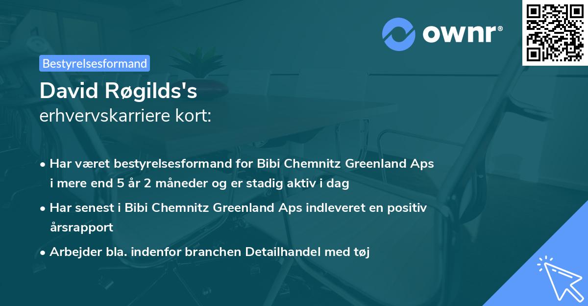 David Røgilds's erhvervskarriere kort