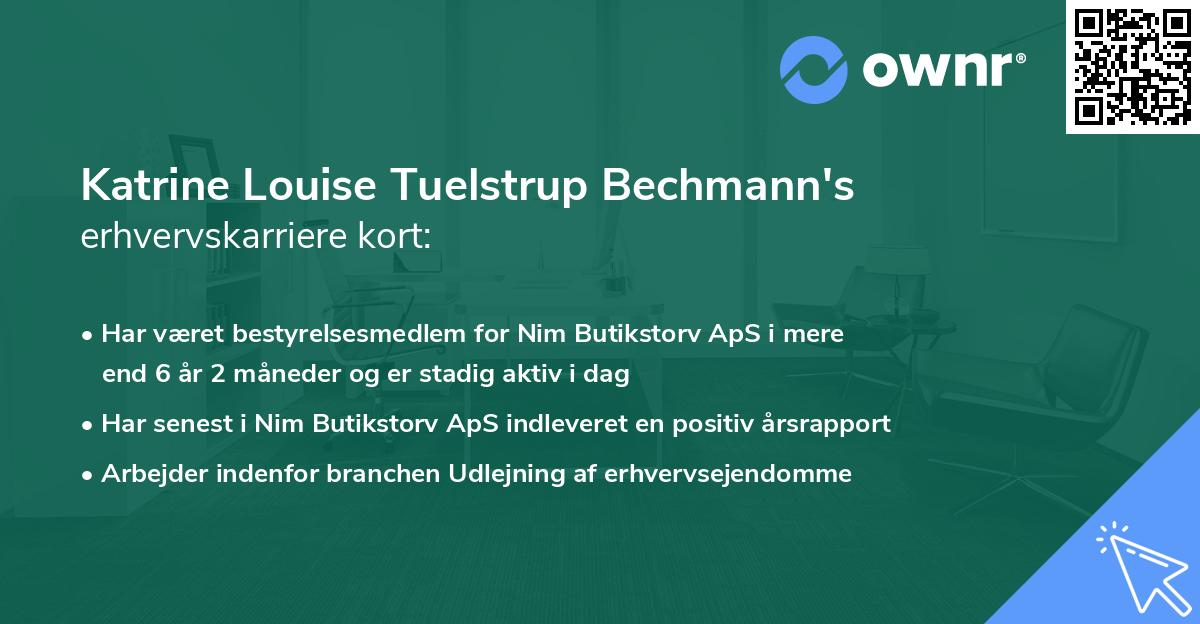 Katrine Louise Tuelstrup Bechmann's erhvervskarriere kort