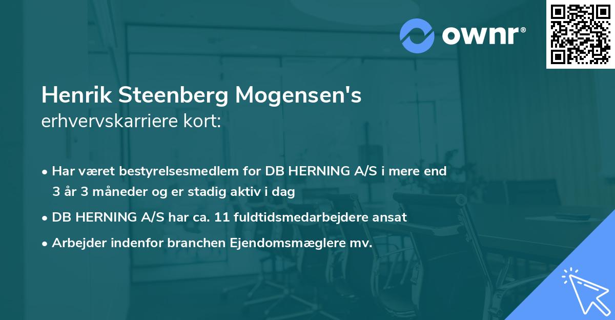 Henrik Steenberg Mogensen's erhvervskarriere kort