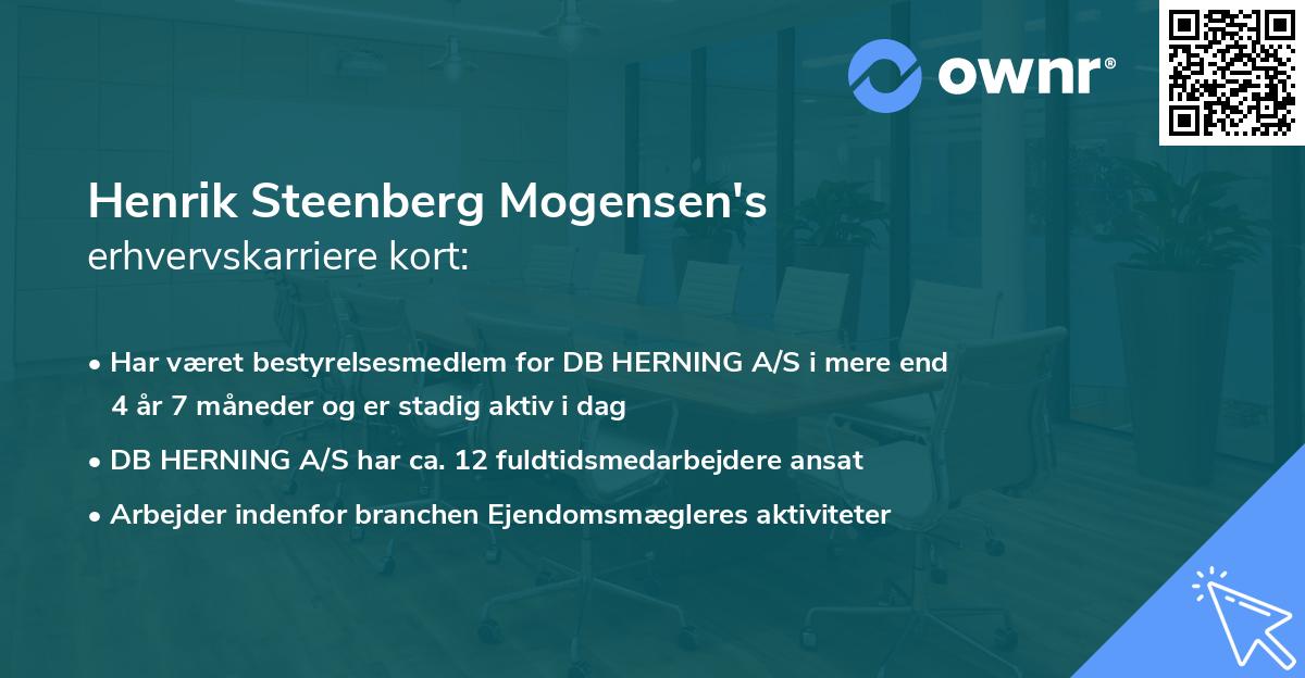 Henrik Steenberg Mogensen's erhvervskarriere kort