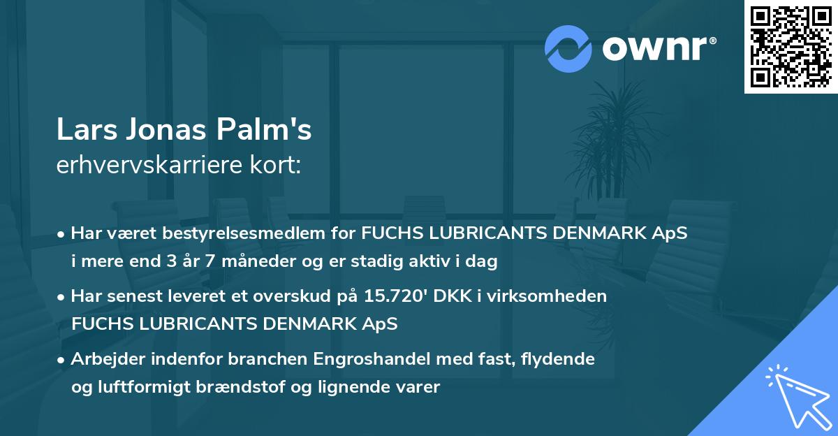 Lars Jonas Palm's erhvervskarriere kort