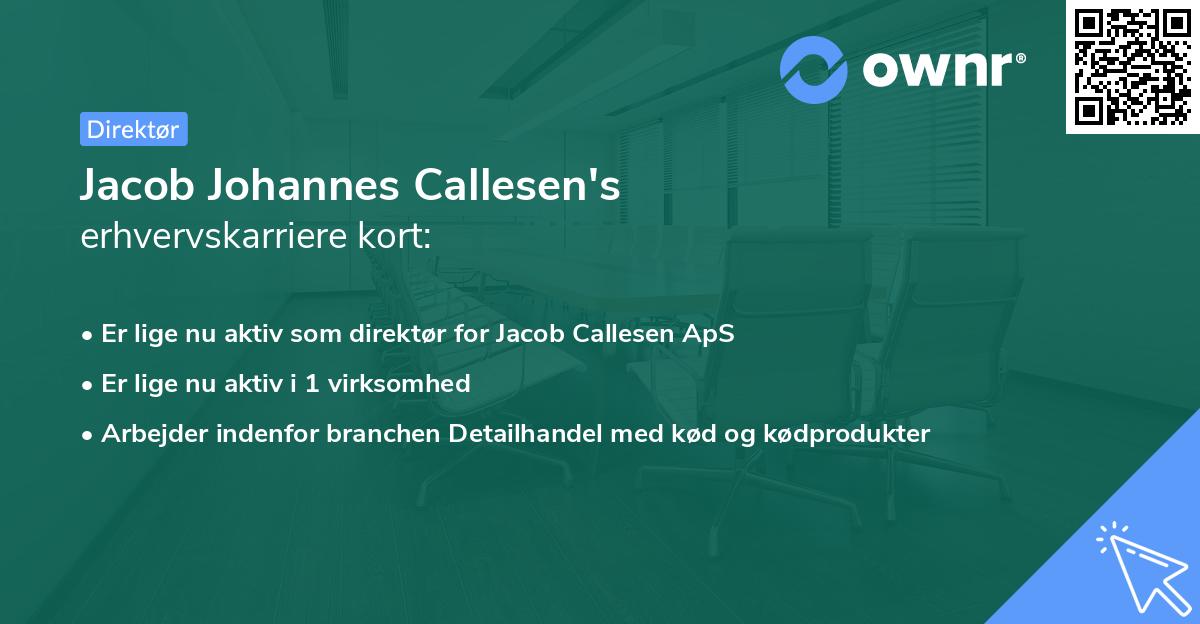 Jacob Johannes Callesen's erhvervskarriere kort