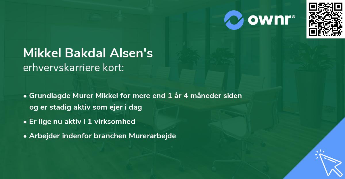 Mikkel Bakdal Alsen's erhvervskarriere kort
