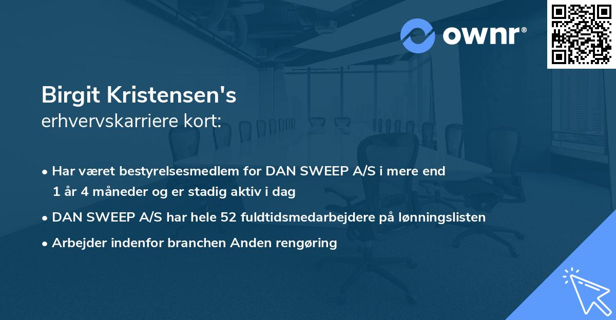 Birgit Kristensen's erhvervskarriere kort