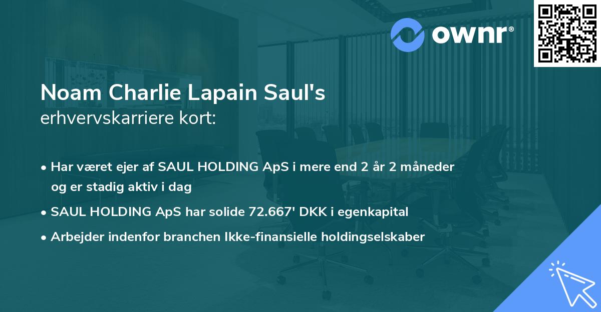 Noam Charlie Lapain Saul's erhvervskarriere kort