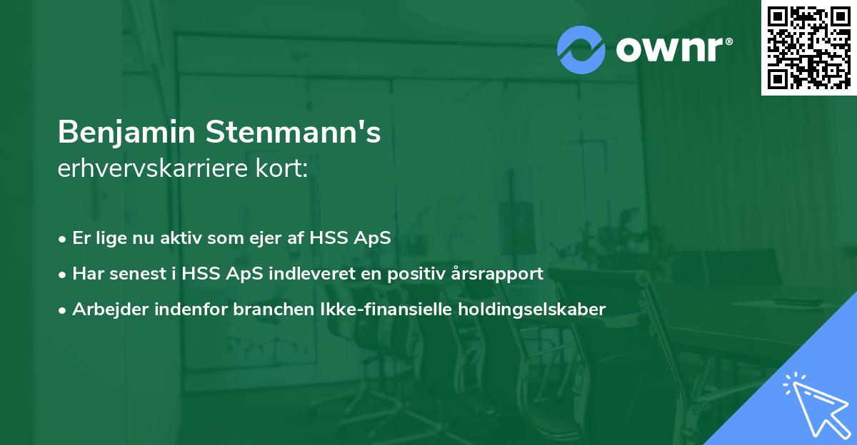 Benjamin Stenmann's erhvervskarriere kort
