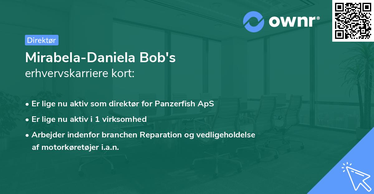 Mirabela-Daniela Bob's erhvervskarriere kort
