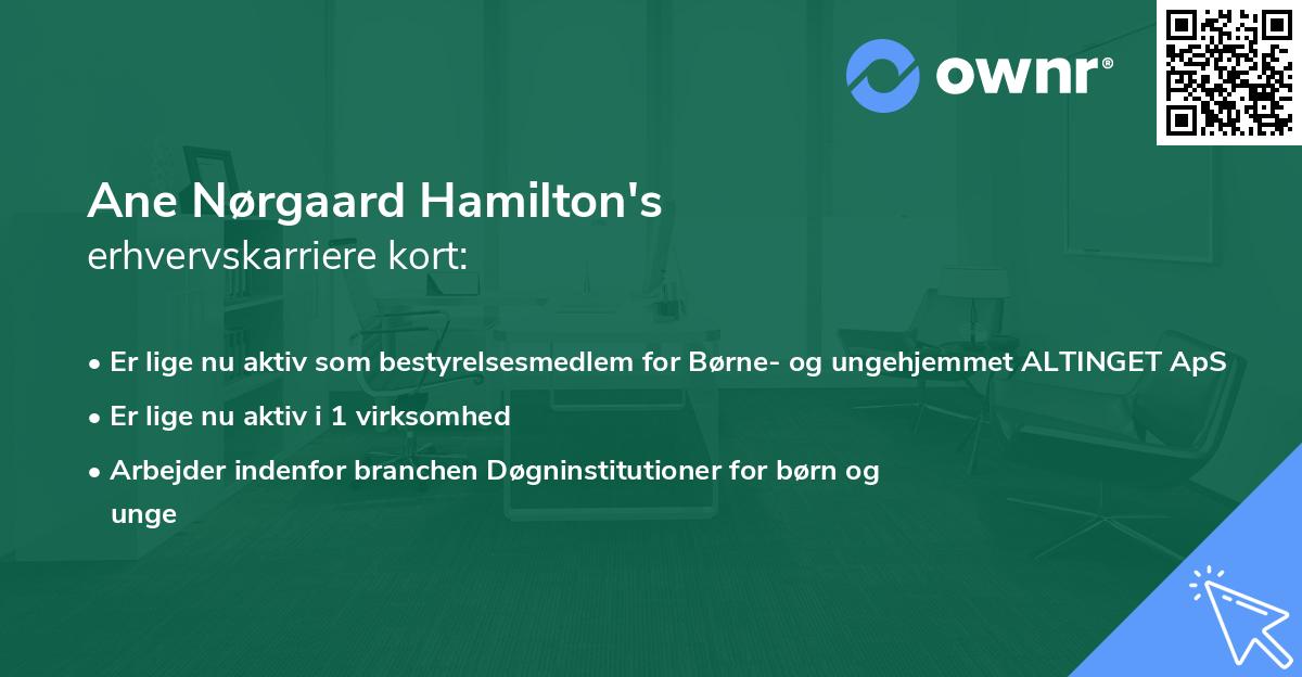 Ane Nørgaard Hamilton's erhvervskarriere kort