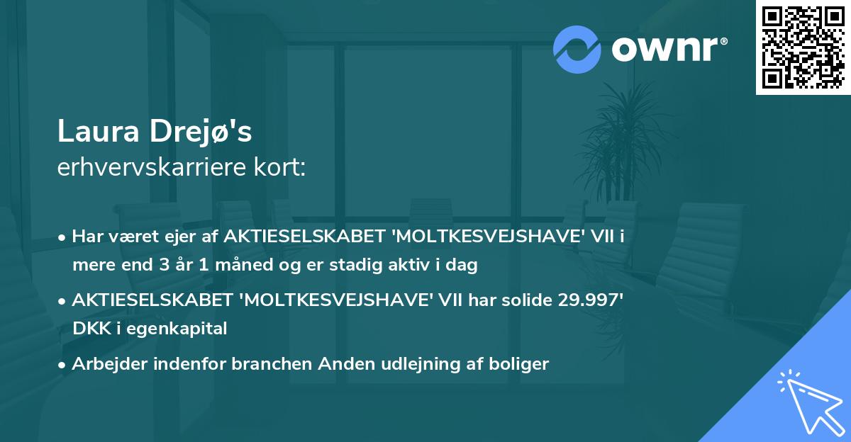 Laura Drejø's erhvervskarriere kort
