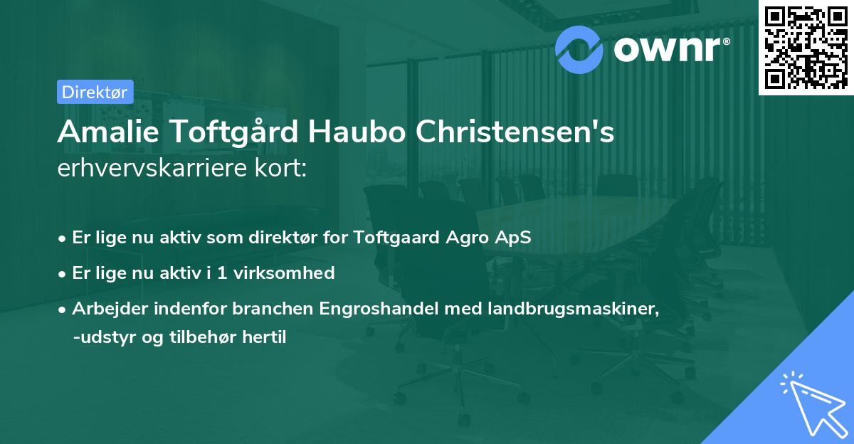 Amalie Toftgård Haubo Christensen's erhvervskarriere kort