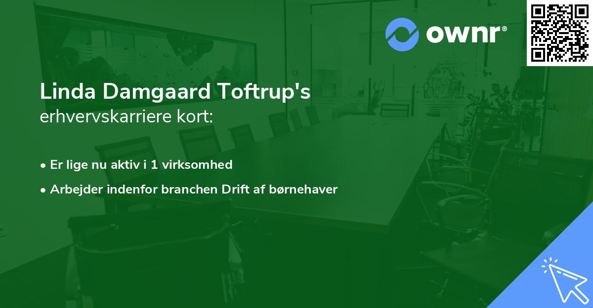 Linda Damgaard Toftrup's erhvervskarriere kort