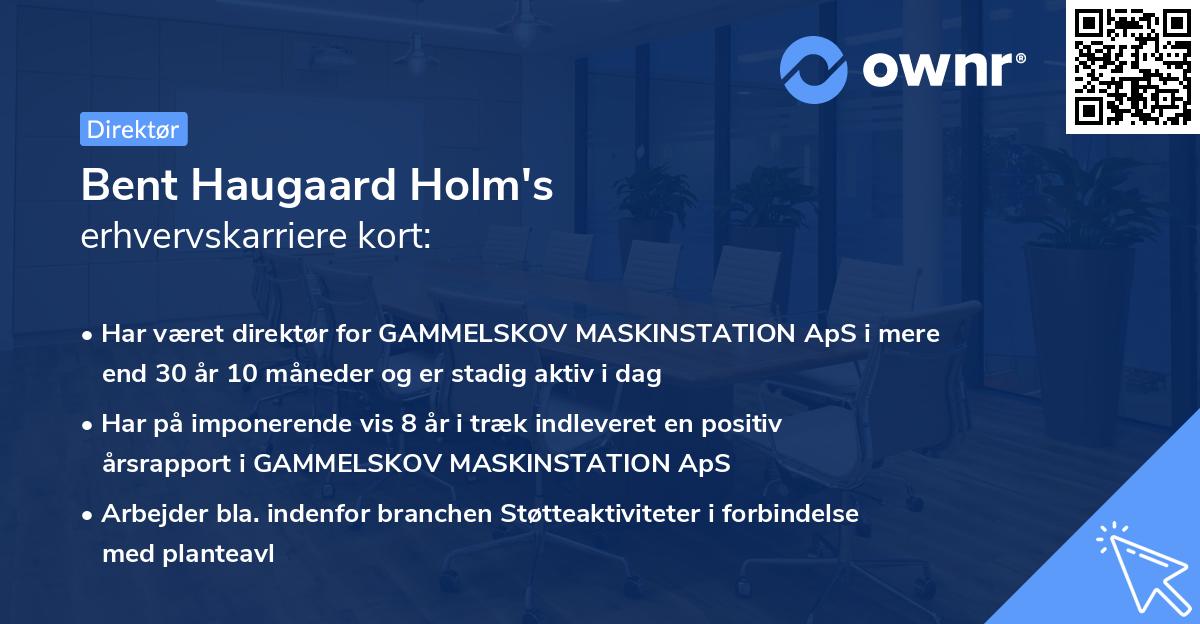 Bent Haugaard Holm's erhvervskarriere kort