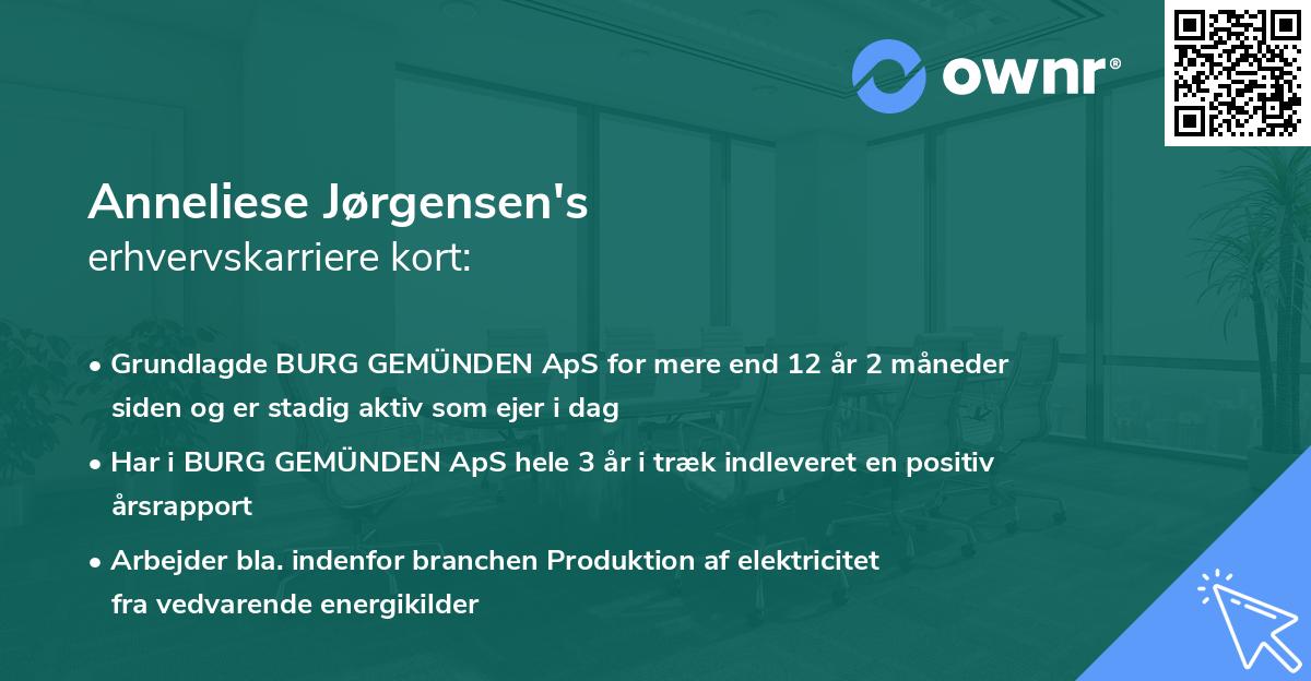 Anneliese Jørgensen's erhvervskarriere kort