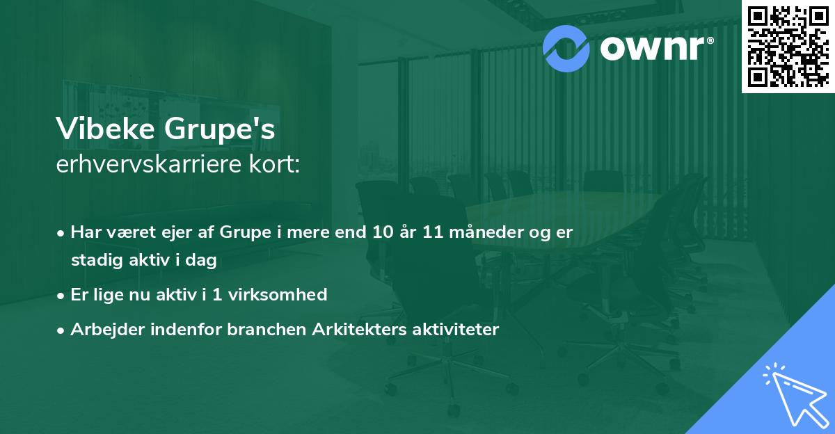 Vibeke Grupe's erhvervskarriere kort