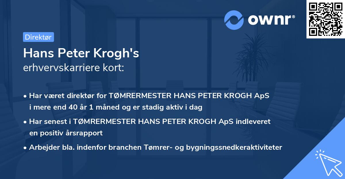 Hans Peter Krogh's erhvervskarriere kort