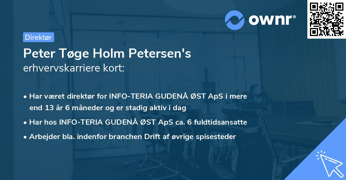 Peter Tøge Holm Petersen's erhvervskarriere kort