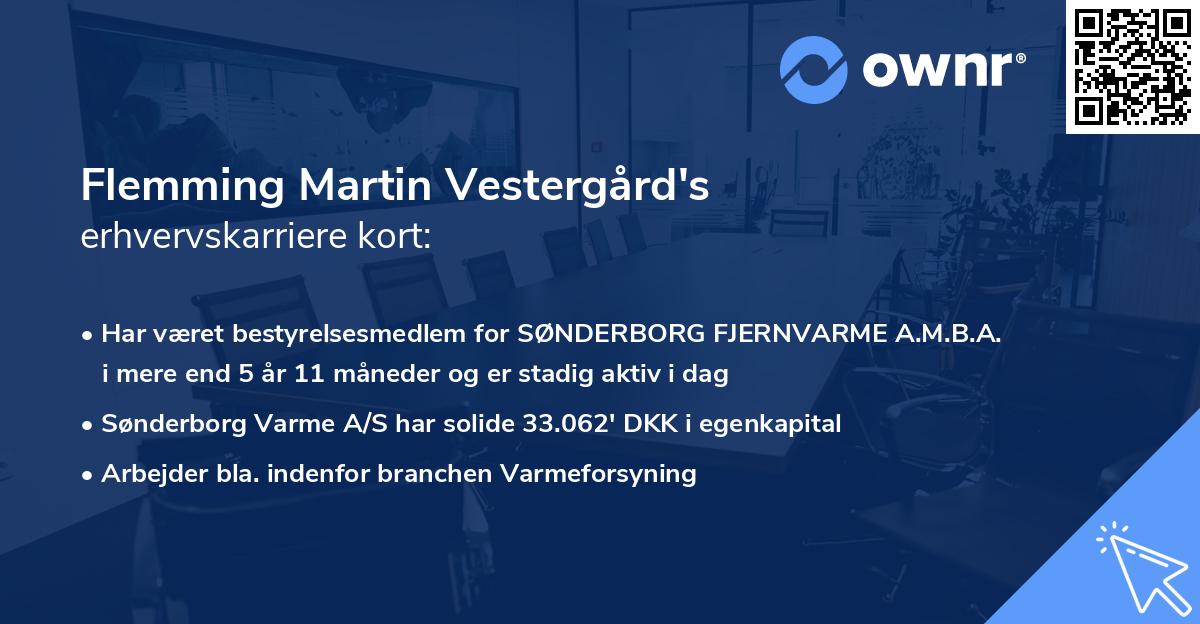 Flemming Martin Vestergård's erhvervskarriere kort