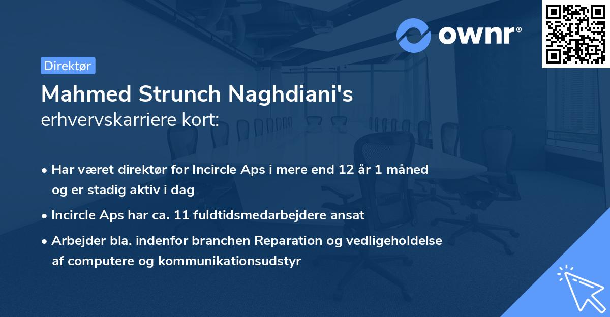 Mahmed Strunch Naghdiani's erhvervskarriere kort