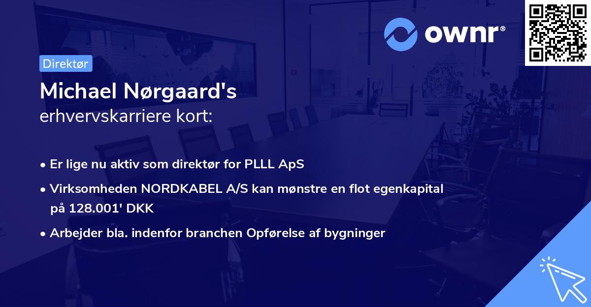 Michael Nørgaard's erhvervskarriere kort