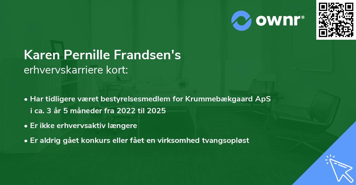 Karen Pernille Frandsen's erhvervskarriere kort