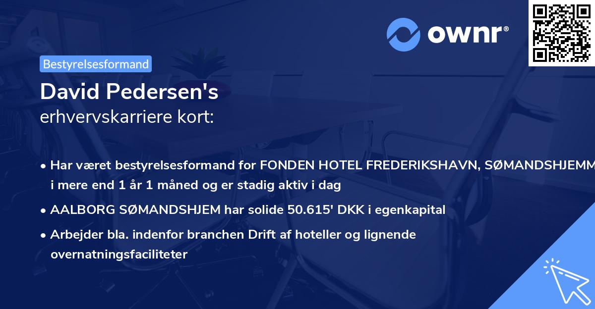 David Pedersen's erhvervskarriere kort