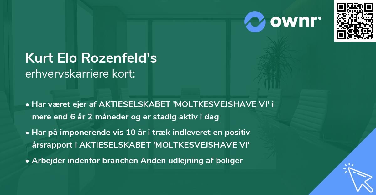 Kurt Elo Rozenfeld's erhvervskarriere kort