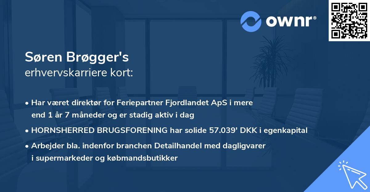 Søren Brøgger's erhvervskarriere kort