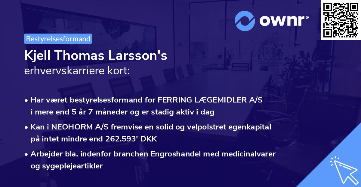 Kjell Thomas Larsson's erhvervskarriere kort
