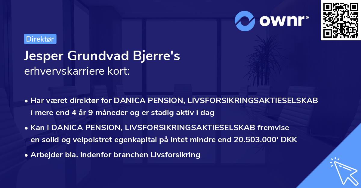 Jesper Grundvad Bjerre's erhvervskarriere kort