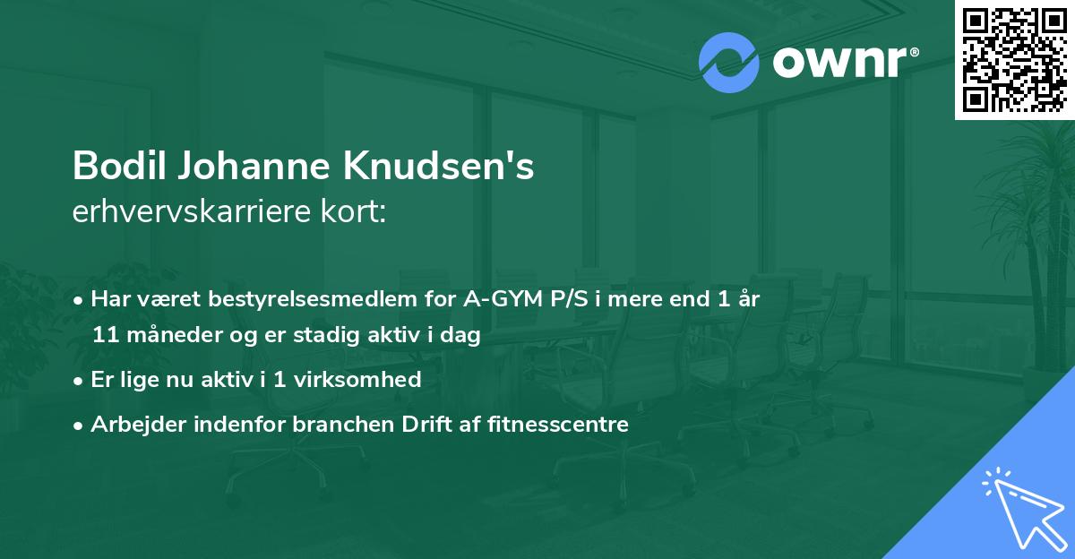 Bodil Johanne Knudsen's erhvervskarriere kort