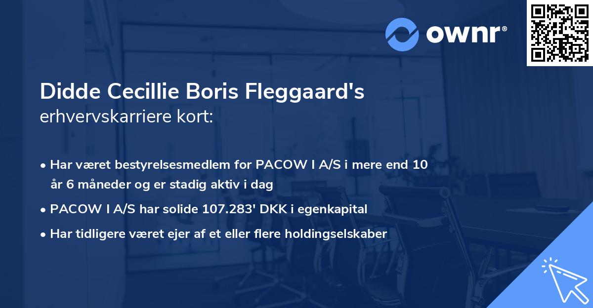 Didde Cecillie Boris Fleggaard's erhvervskarriere kort