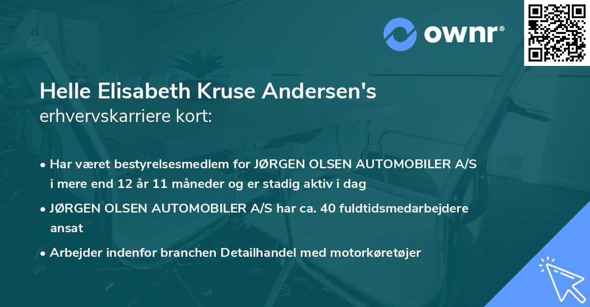 Helle Elisabeth Kruse Andersen's erhvervskarriere kort