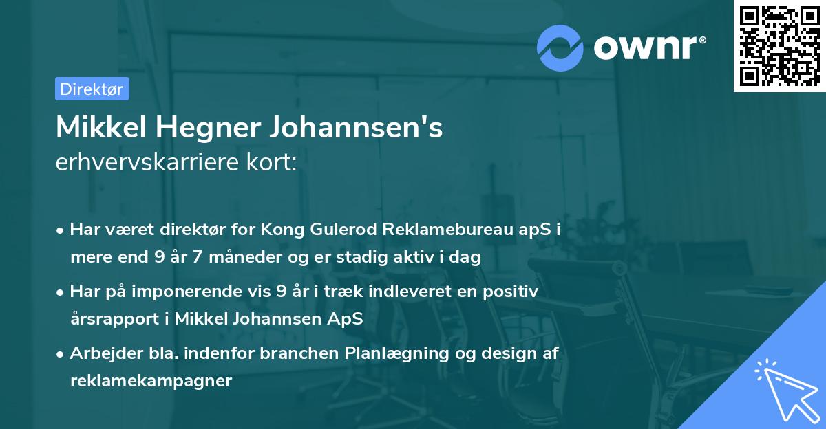 Mikkel Hegner Johannsen's erhvervskarriere kort